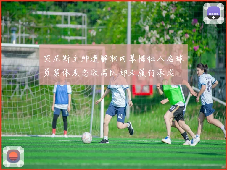 突尼斯主帅遭解职内幕揭秘八名球员集体表态欲离队却未履行承诺
